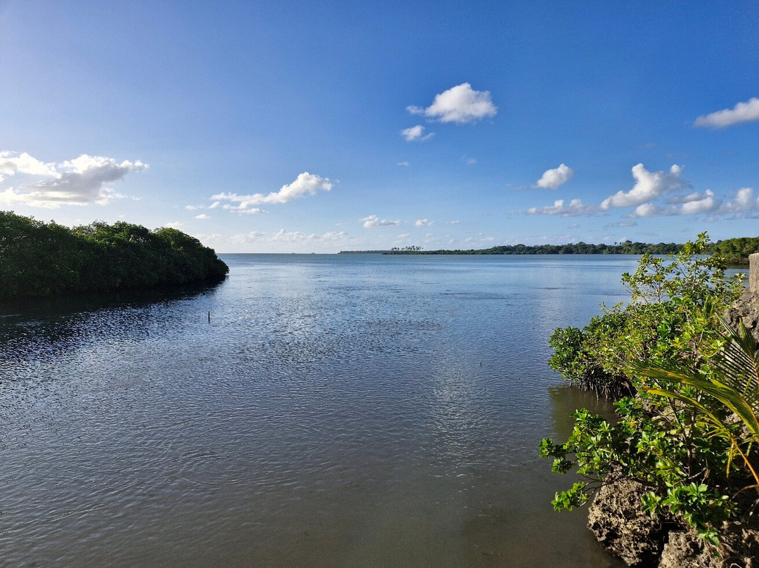 Captain Cook's Landing Place-Tongatapu Island必去景点
