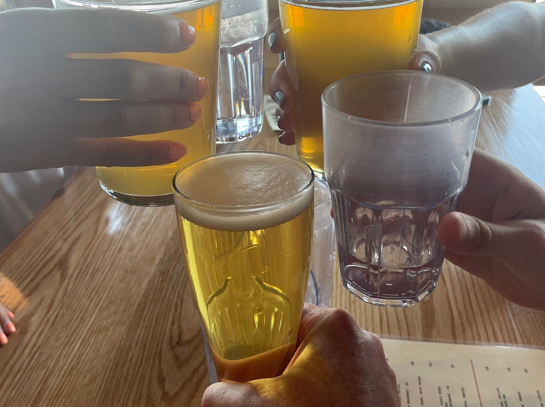 29 Palms Beer Co主图