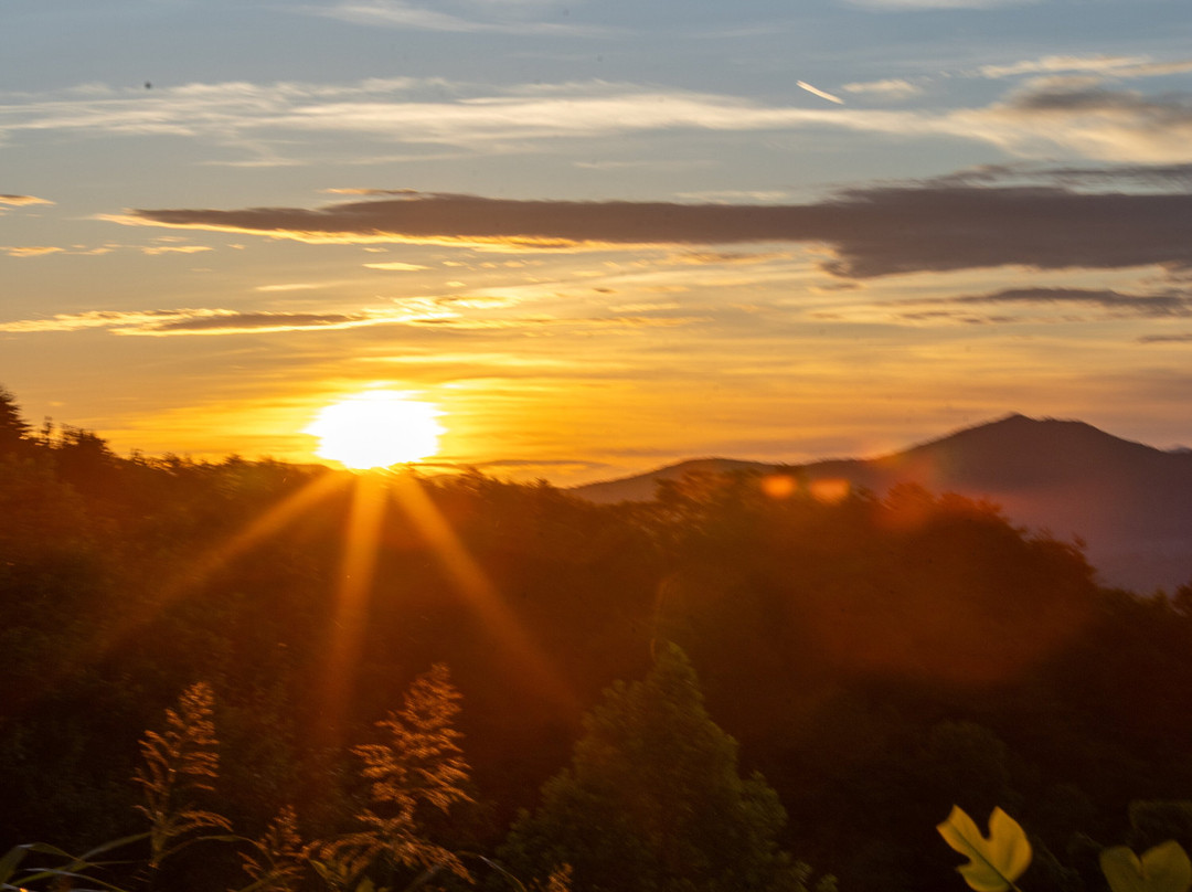 Spruce Photo Tours-汤森必去景点