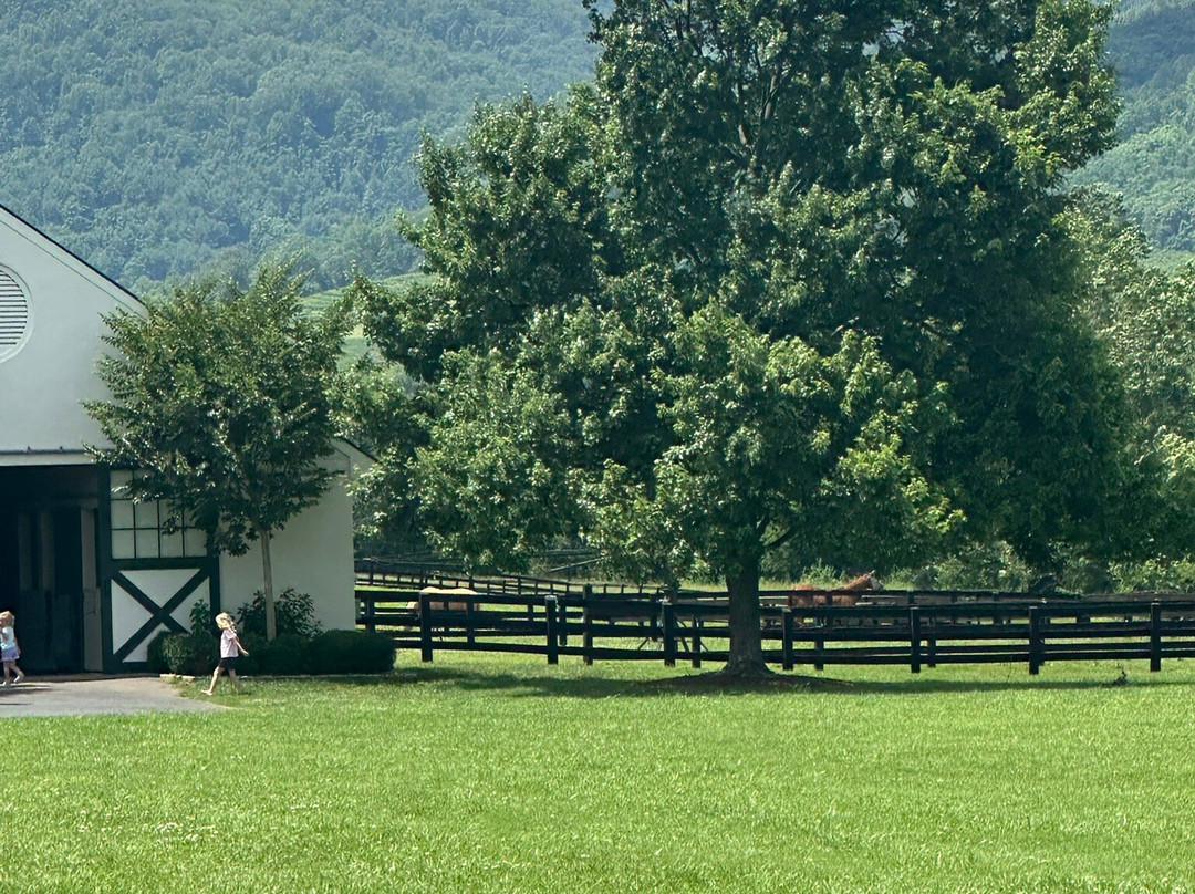 King Family Vineyards-Crozet必去景点