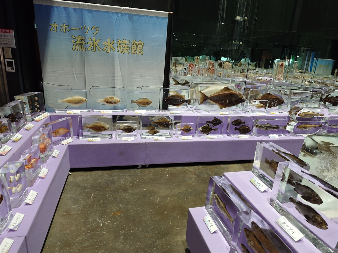 Okhotsk Sea Ice Museum of Hokkaido GIZA-纹别市必去景点