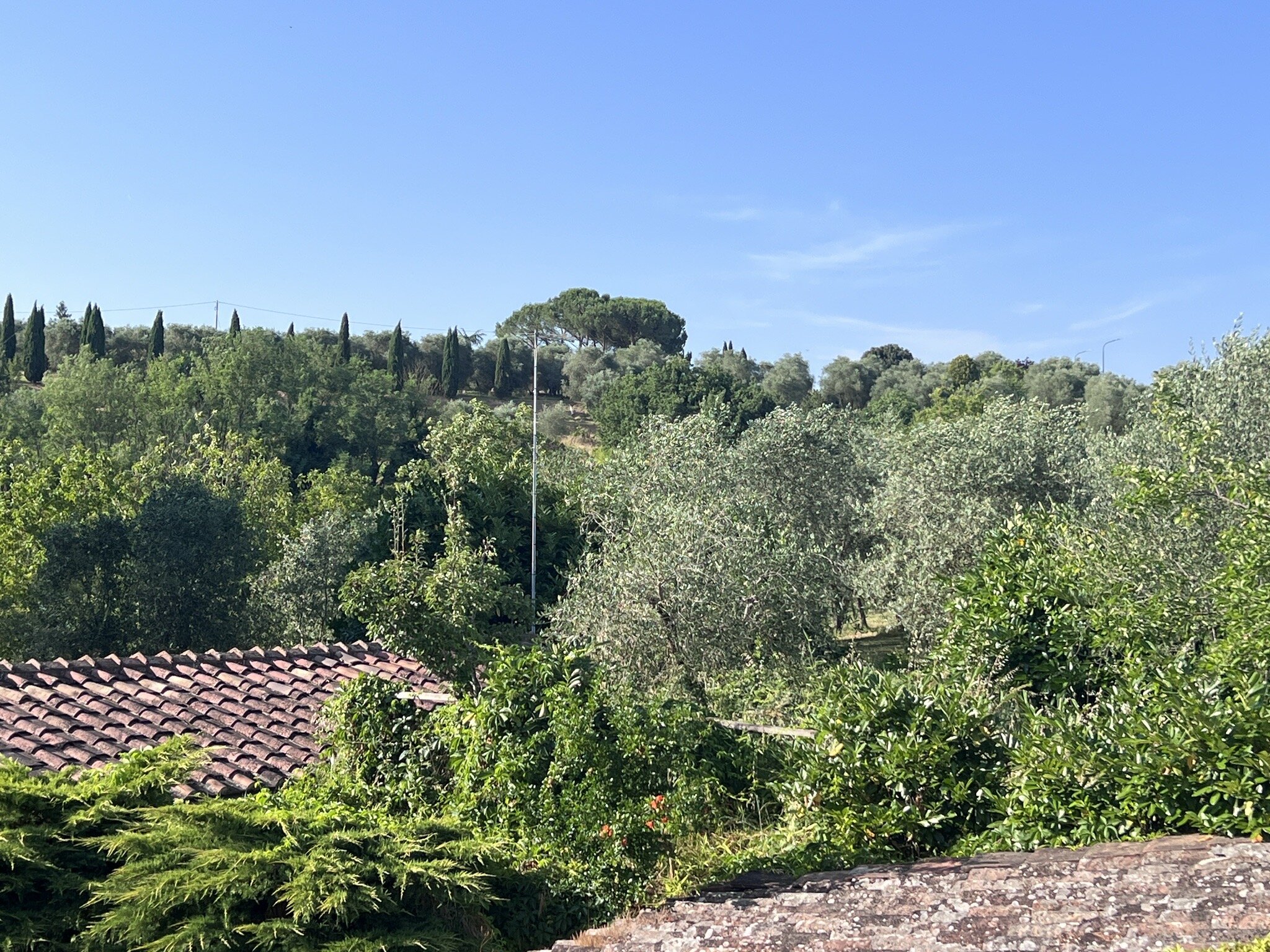 Podere le vigne-官方