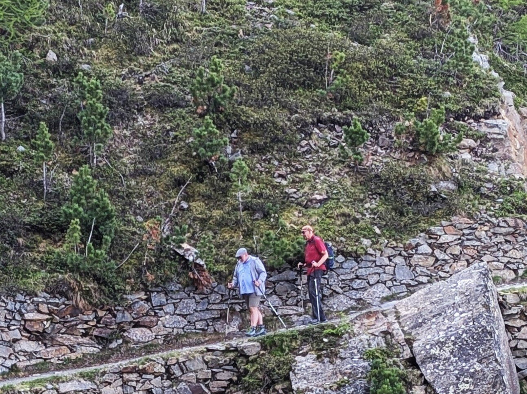 Höhenweg Muottas Muragl . Alp Languard-Pontresina必去景点