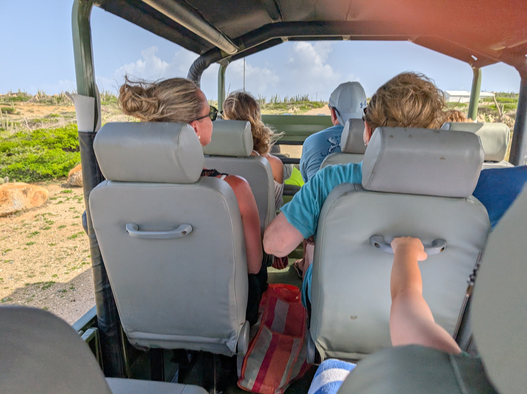 Red Sail Sports Aruba-奥腊涅斯塔德必去景点