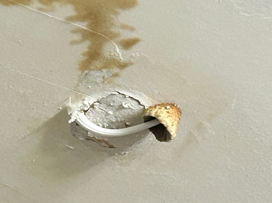 Studio 6 Hampton, VA - Langley AFB Area主图