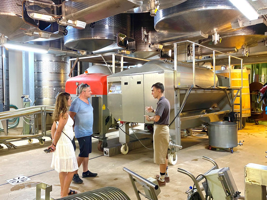 Vine Root Tours-斯泰伦博斯必去景点