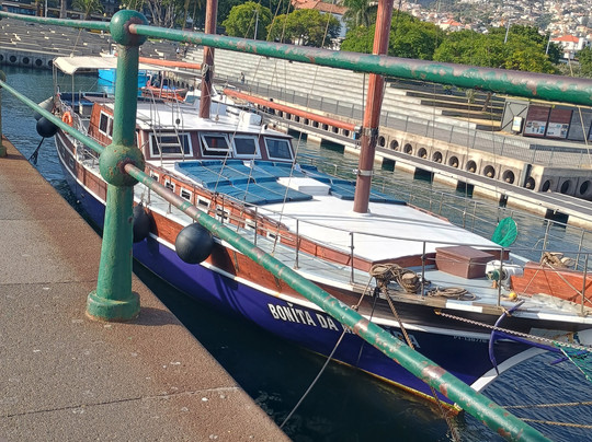 Bonita da Madeira-沙尔必去景点