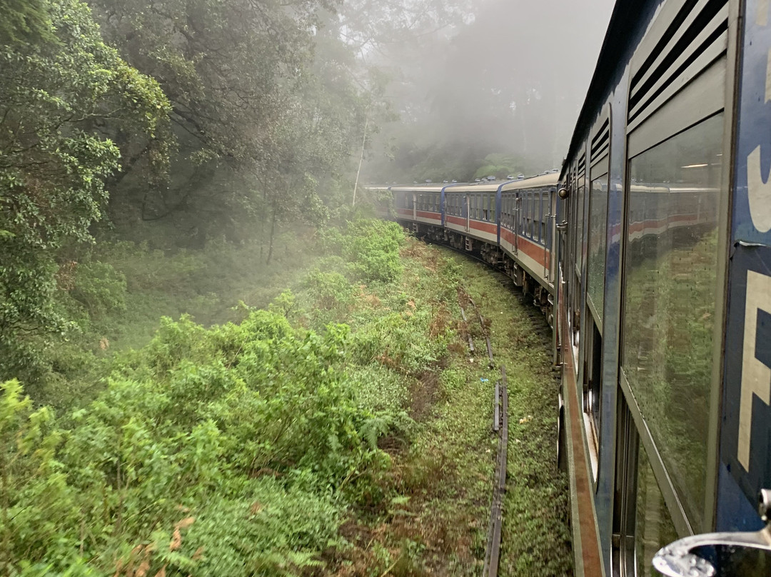 Sura Tours & Travels-卡图纳耶克必去景点