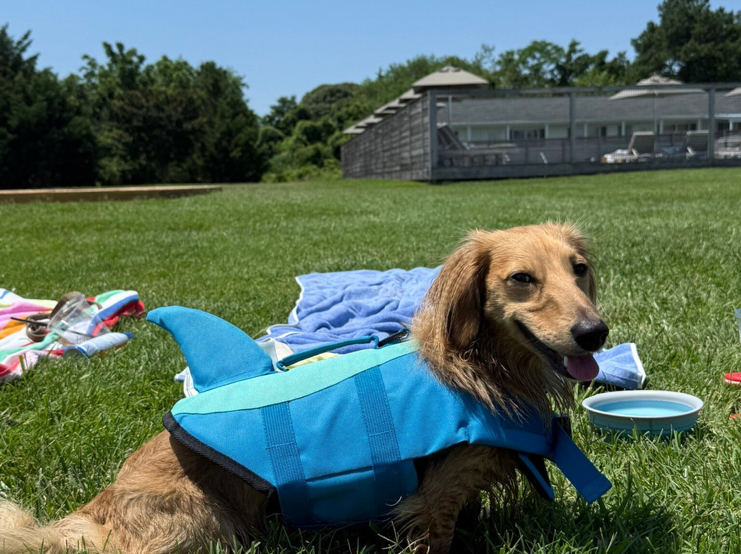 Wylder Hotel Tilghman Island主图