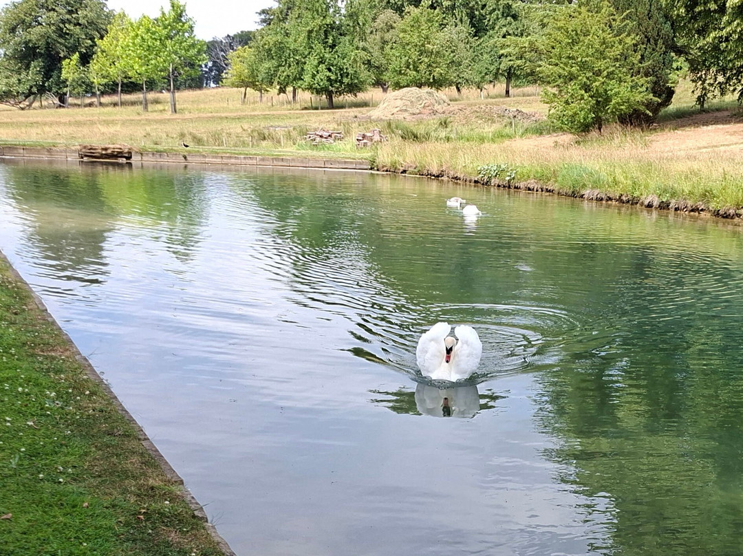 Stanway House & Fountain-Toddington必去景点