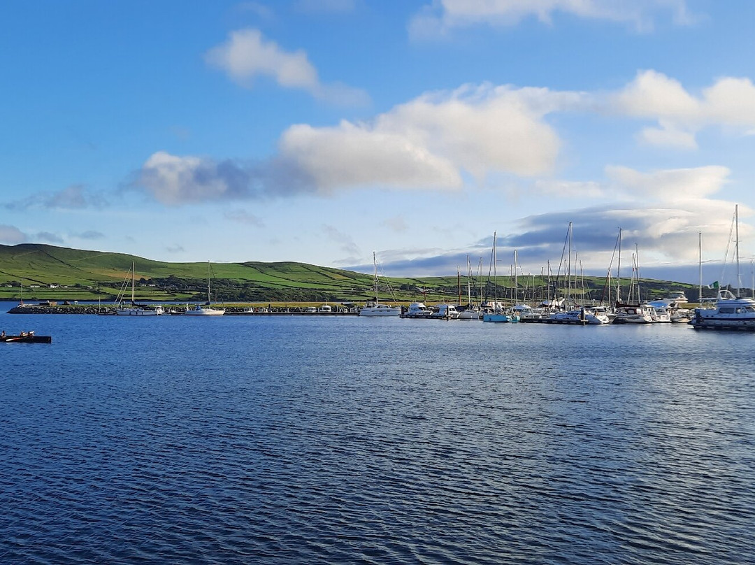 Dingle Marina-丁格尔必去景点