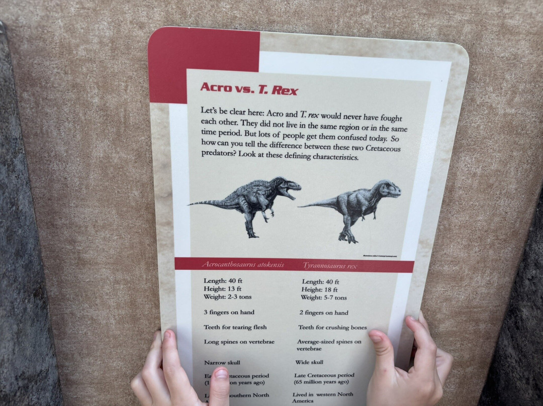 北卡罗来纳自然科学博物馆-罗利必去景点