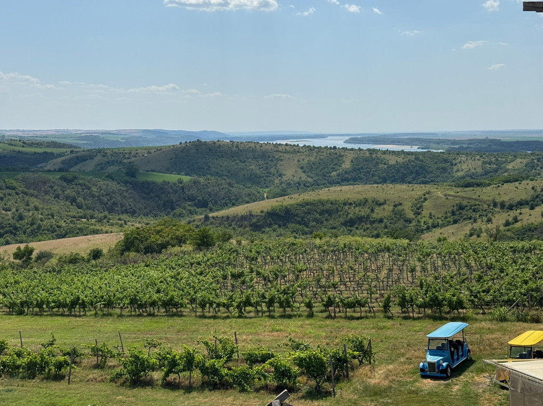 Seven Generations Winery Resort主图