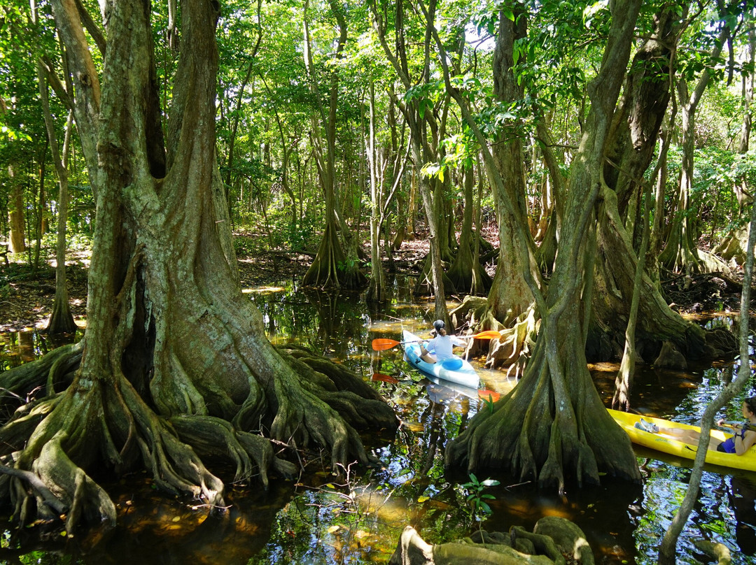 Mkg Centre Nautique-Deshaies必去景点