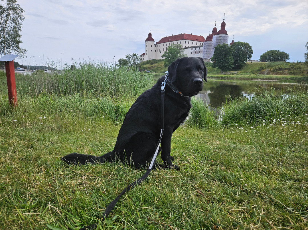 Lacko Castle-Lidkoping必去景点