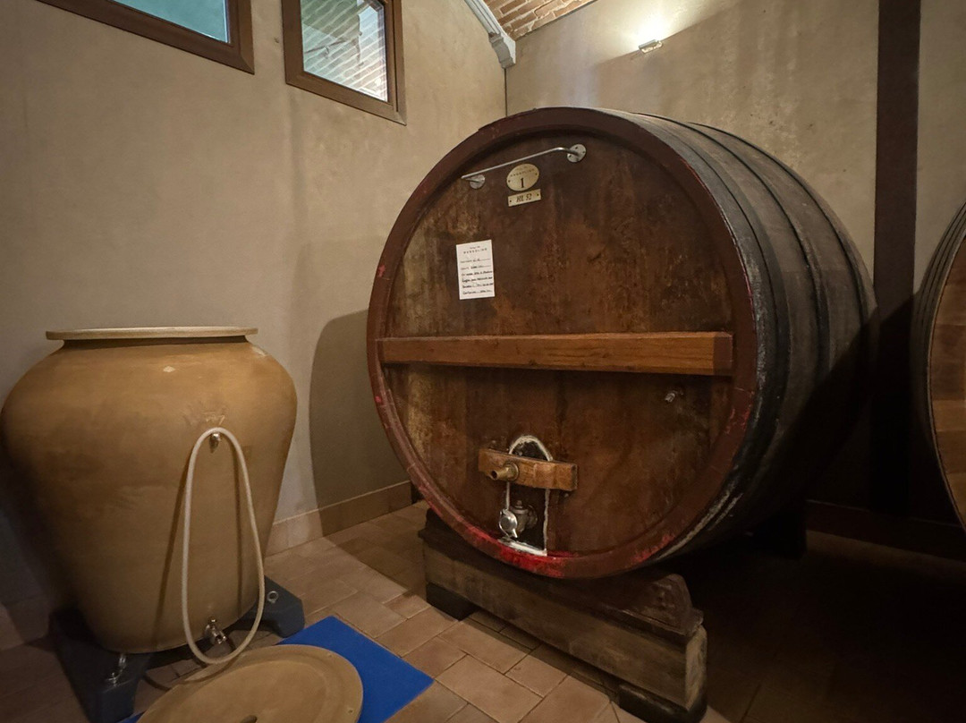 Massolino Winery-塞拉伦加达尔巴必去景点