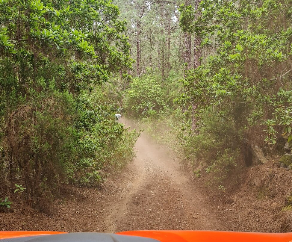 Buggy Tour Icod-伊科德洛斯维诺斯必去景点