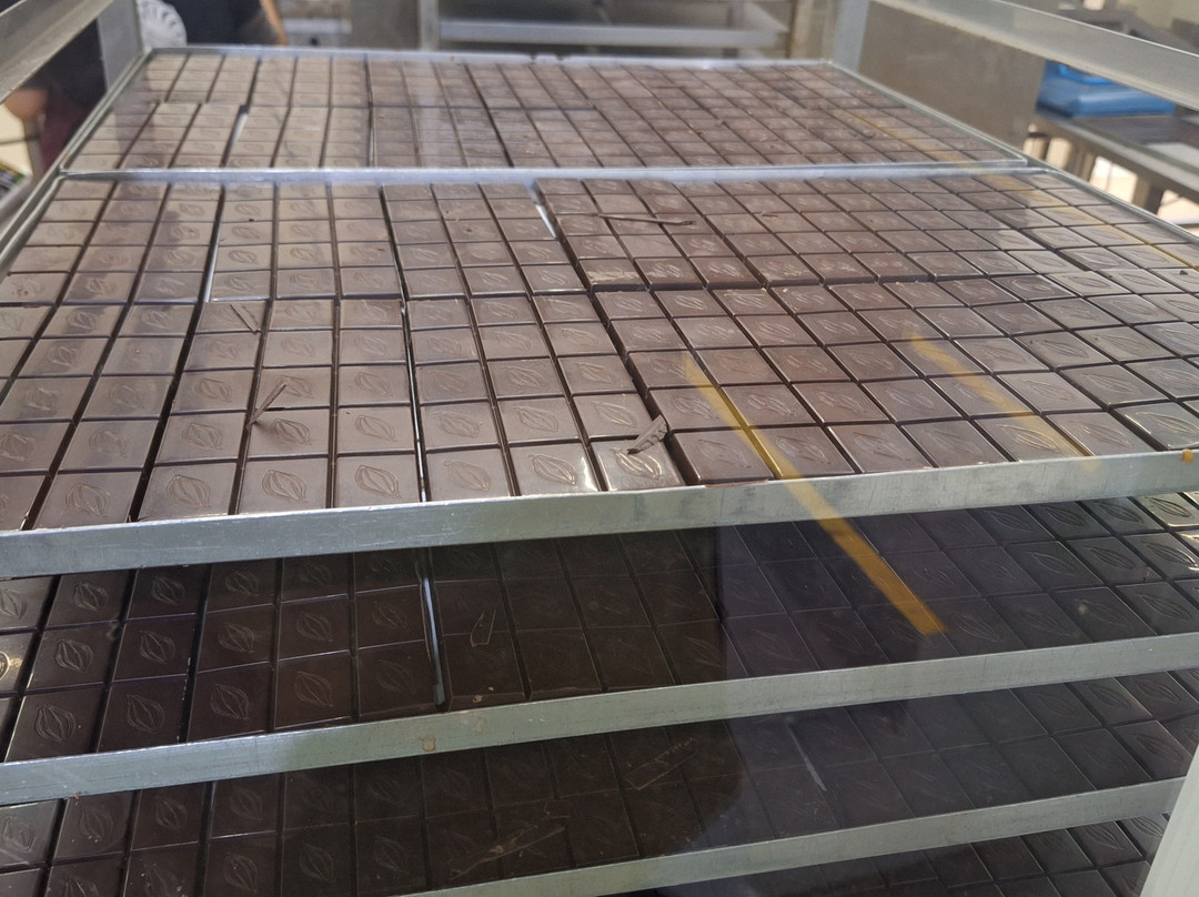 Chocolate Monggo Museum-Kasihan必去景点