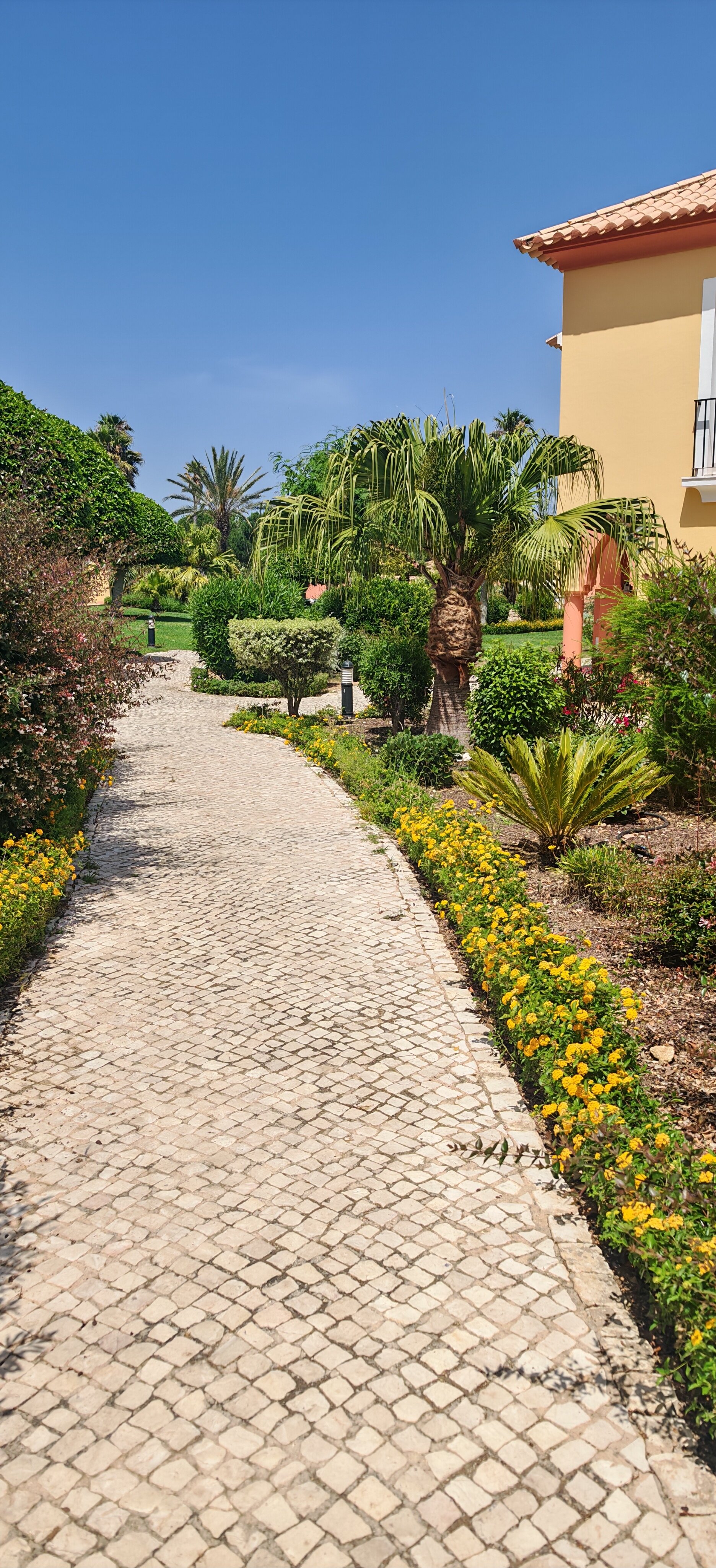 Jardim da Meia Praia-官方