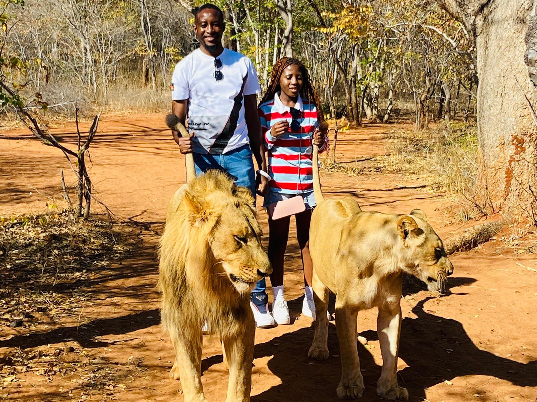 Untamed African Safaris-李文斯顿必去景点