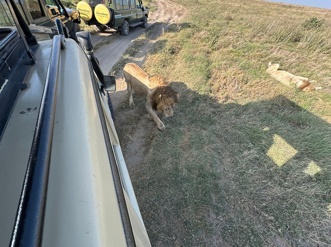Katikati Tours and Safaris-阿鲁沙必去景点