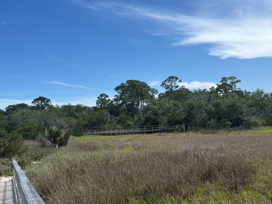 Amelia Island Nature Center-阿米莉亚岛必去景点