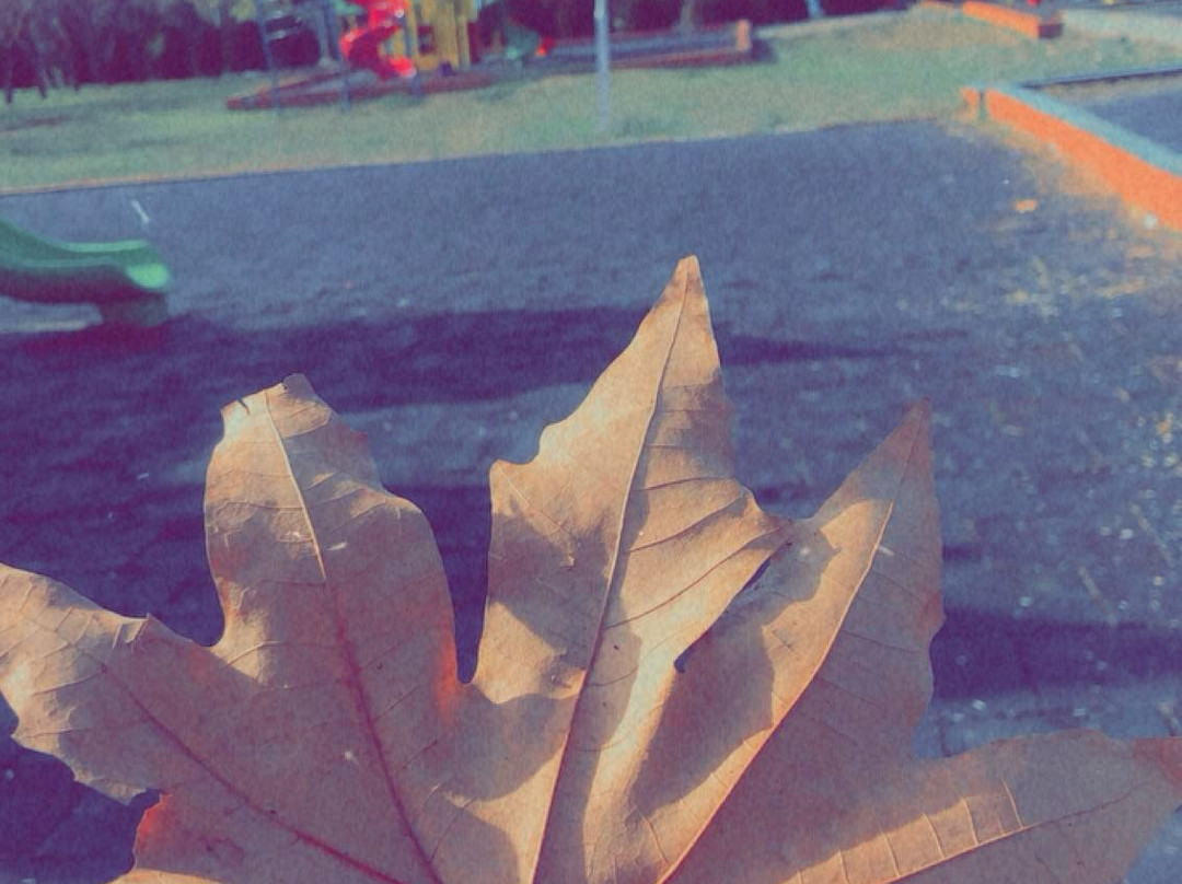 Azadi Park-苏莱曼尼亚必去景点