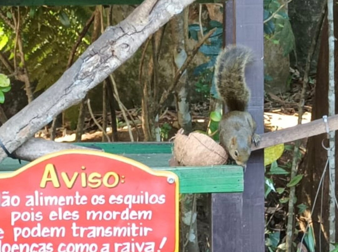 Shopping Center Celeiro-蒙特贝尔德必去景点