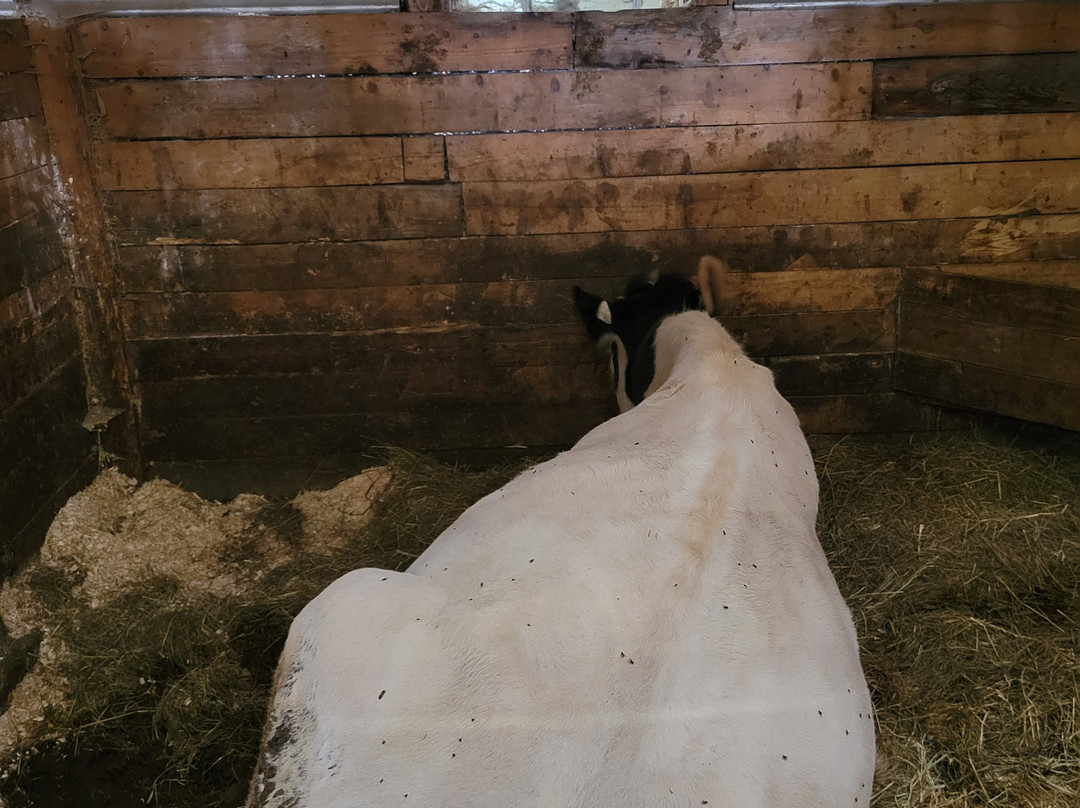 Ferme des Petits Torrieux-Frontenac必去景点