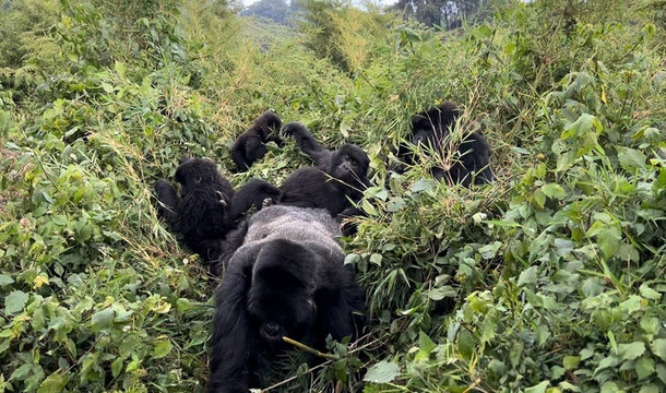 Makario Safaris Ltd.-吉佳利必去景点