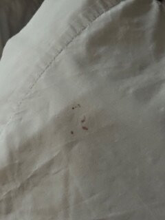 克尔维尔智选假日酒店主图