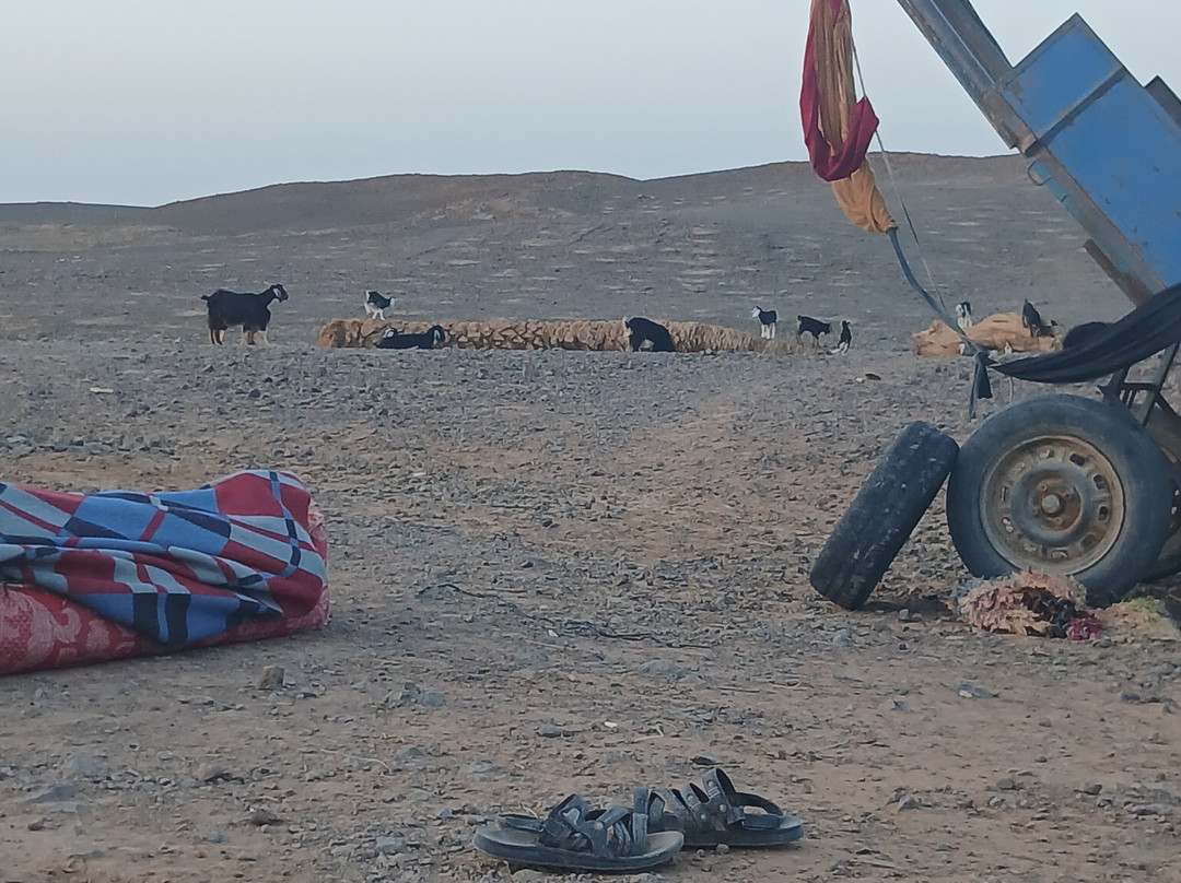 Redouane Sahara Tours-伊拉悉迪亚必去景点