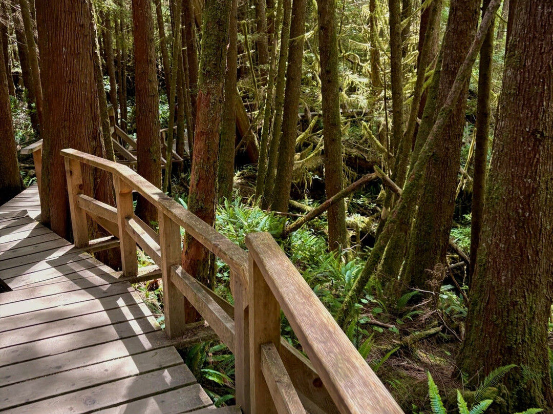 Rainforest Trail-托菲诺必去景点