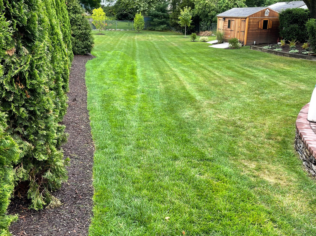 Wagon Wheel-列克星敦必去景点