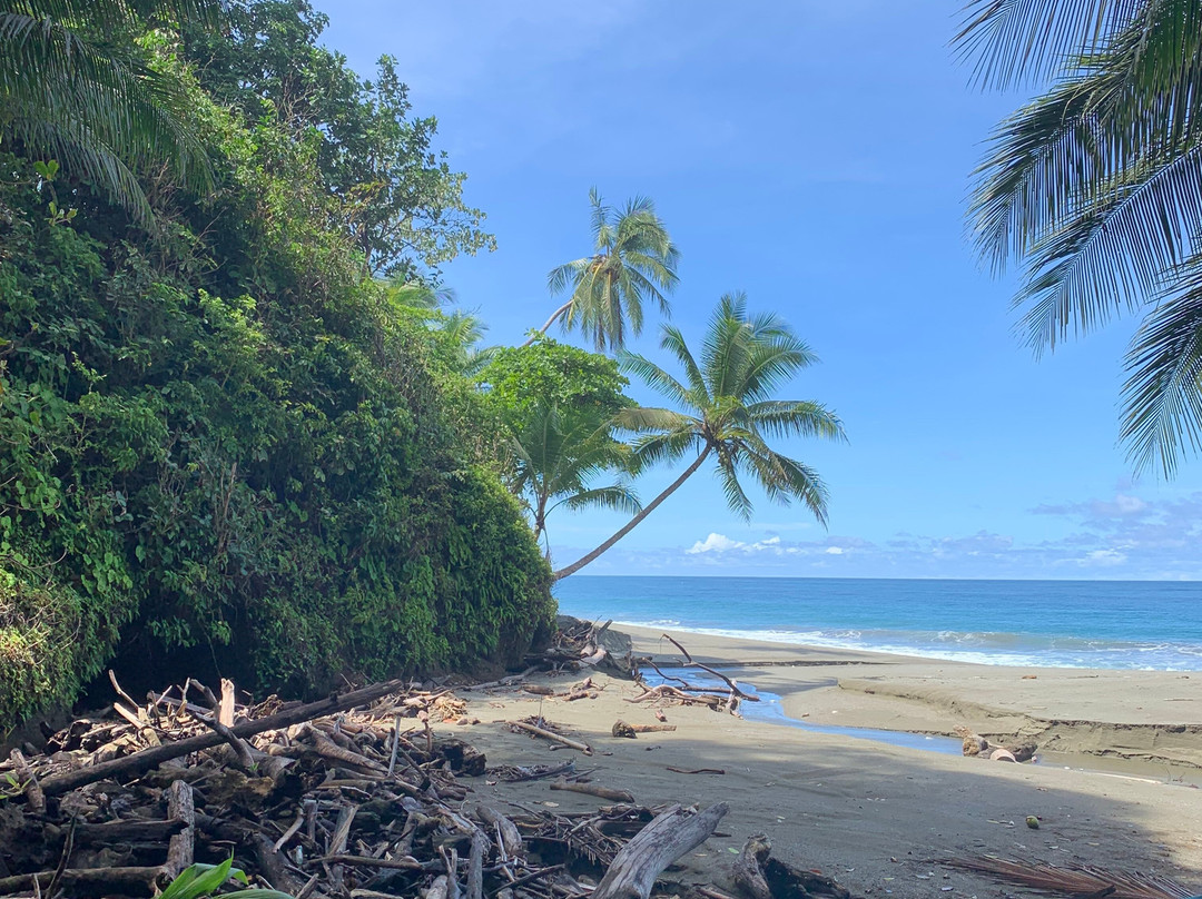 Osa Conservation Campus-希门尼斯港必去景点