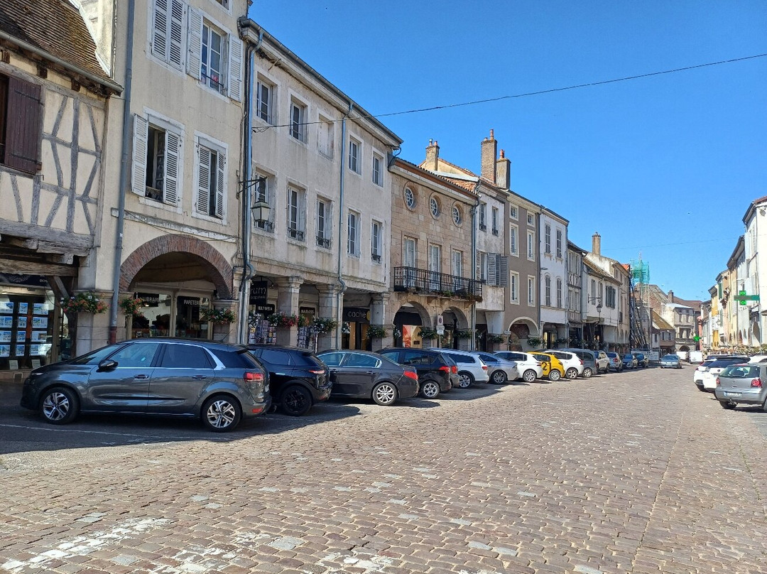 Les Arcades de Louhans-Louhans必去景点