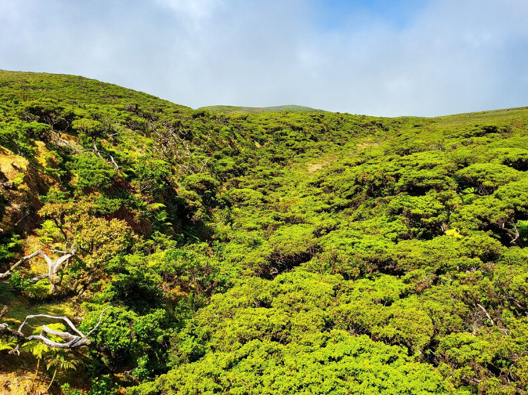 Miradouro da Serra de Santa Bárbara-亚速尔群岛英雄港中心区必去景点