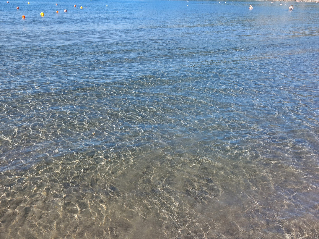 Tortuga Beach-Andora必去景点