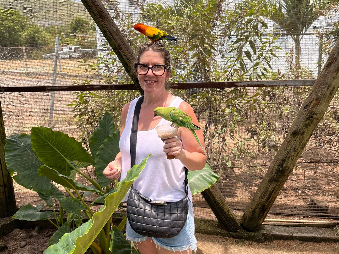 Parotte Ville Bird Sanctuary-圣马丁岛必去景点