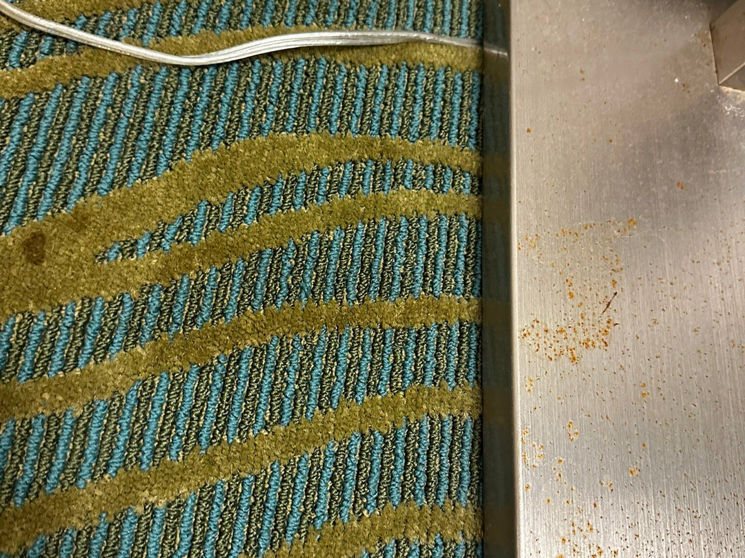 SpringHill Suites by Marriott Mobile主图