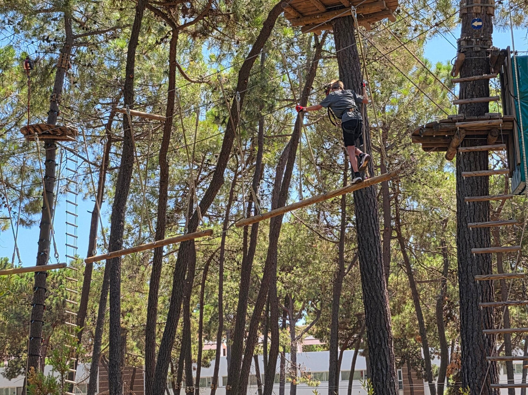 Aventura Amazonia Marbella-太阳海岸必去景点