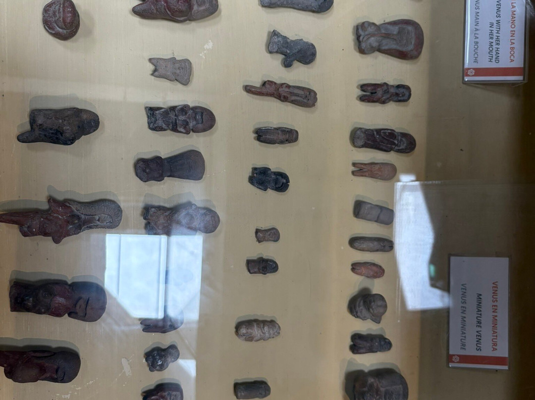 Museo de las Culturas Aborigenes-昆卡必去景点