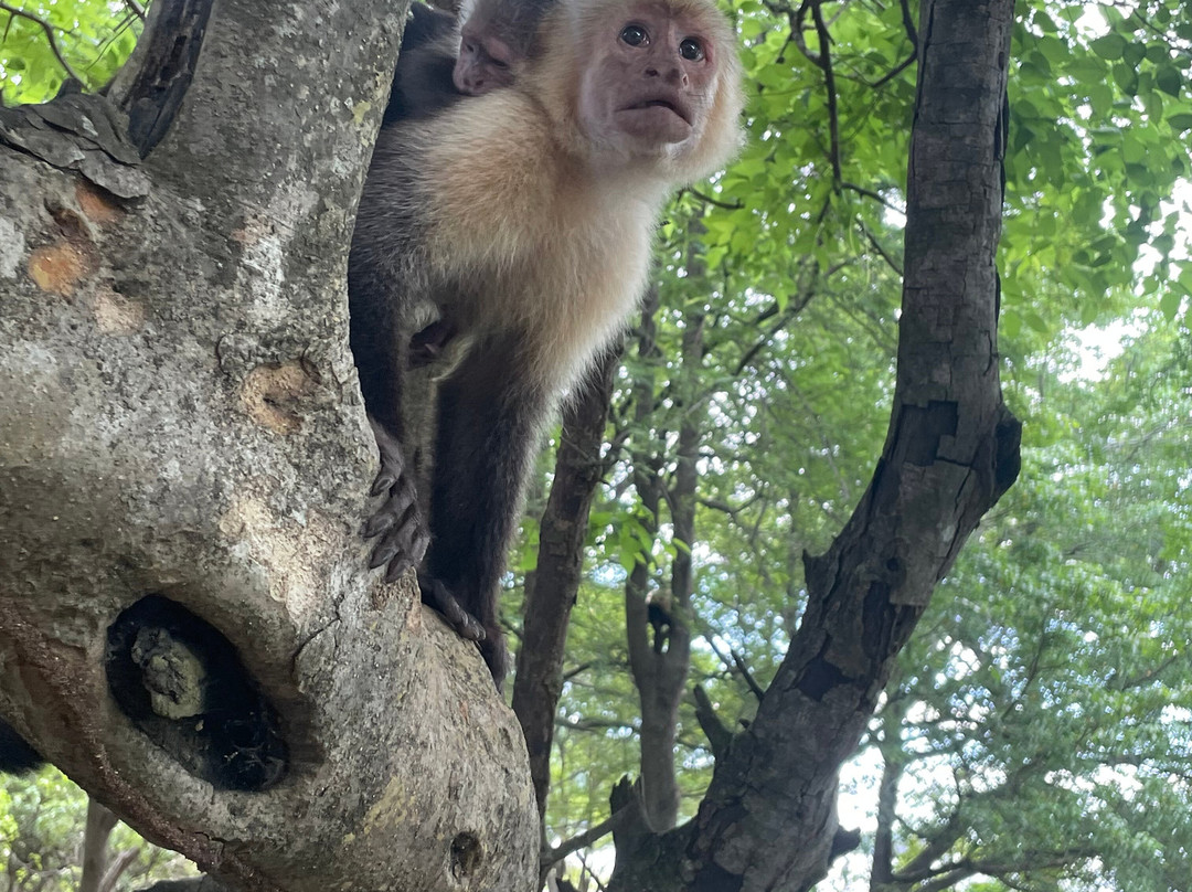 Costa Rica Adventure Thrills-萨迪纳尔必去景点