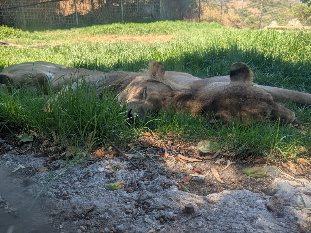 Selwo Aventura-埃斯特波纳必去景点