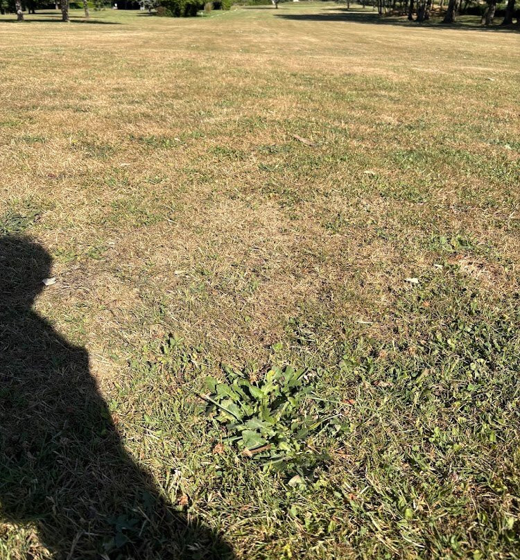 Golf d'Autun-Autun必去景点