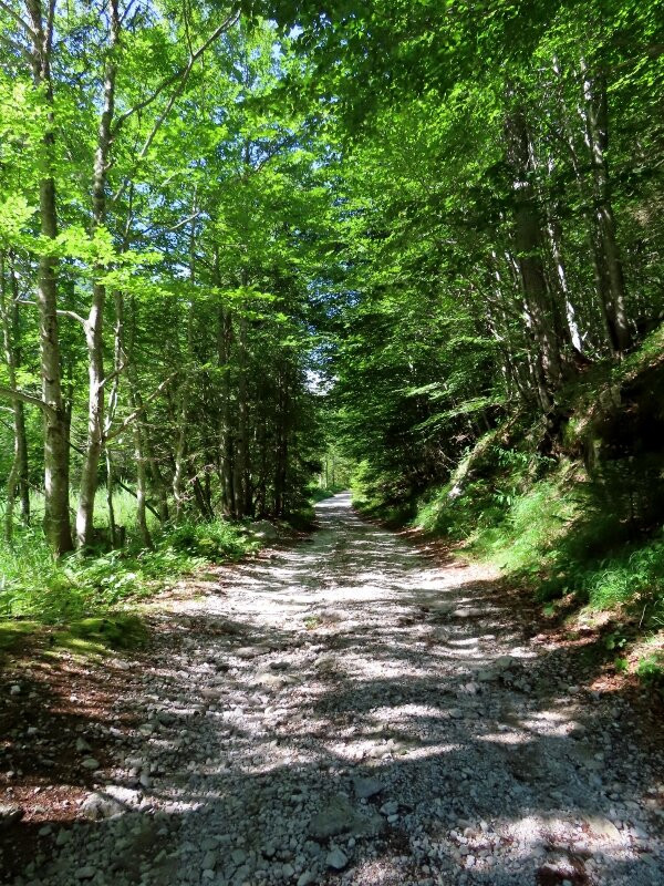 Val Pramper-Val di Zoldo必去景点