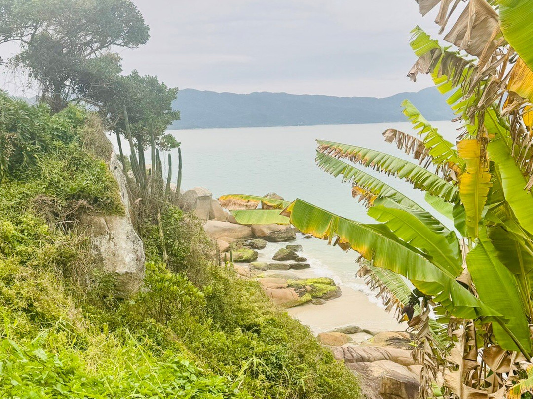 Forte Sao Jose da Ponta Grossa-Jurere必去景点