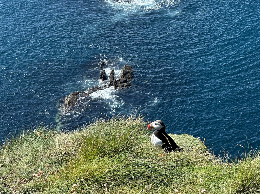 Shetland Wool Adventures-Lerwick必去景点