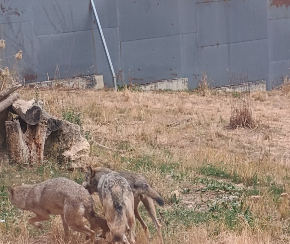 Le Parc Du Thot-Thonac必去景点