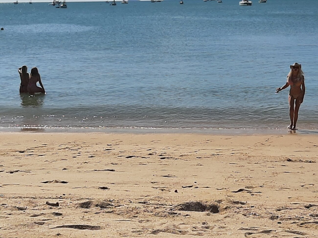 Boathaven Beach-艾尔利滩必去景点